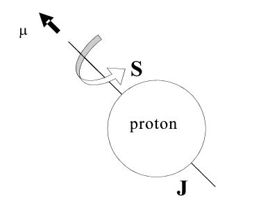 proton a jeho spin - klikem zobrazíte plnou   velikost
